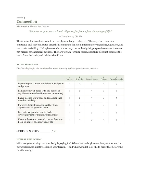 The Tier 1 course worksheets