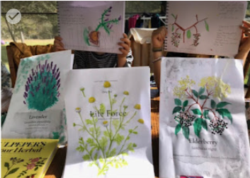 Two children holding up their own botanical drawings beside the printed lavender, chamomile and elderberry field cards at an outdoor table.