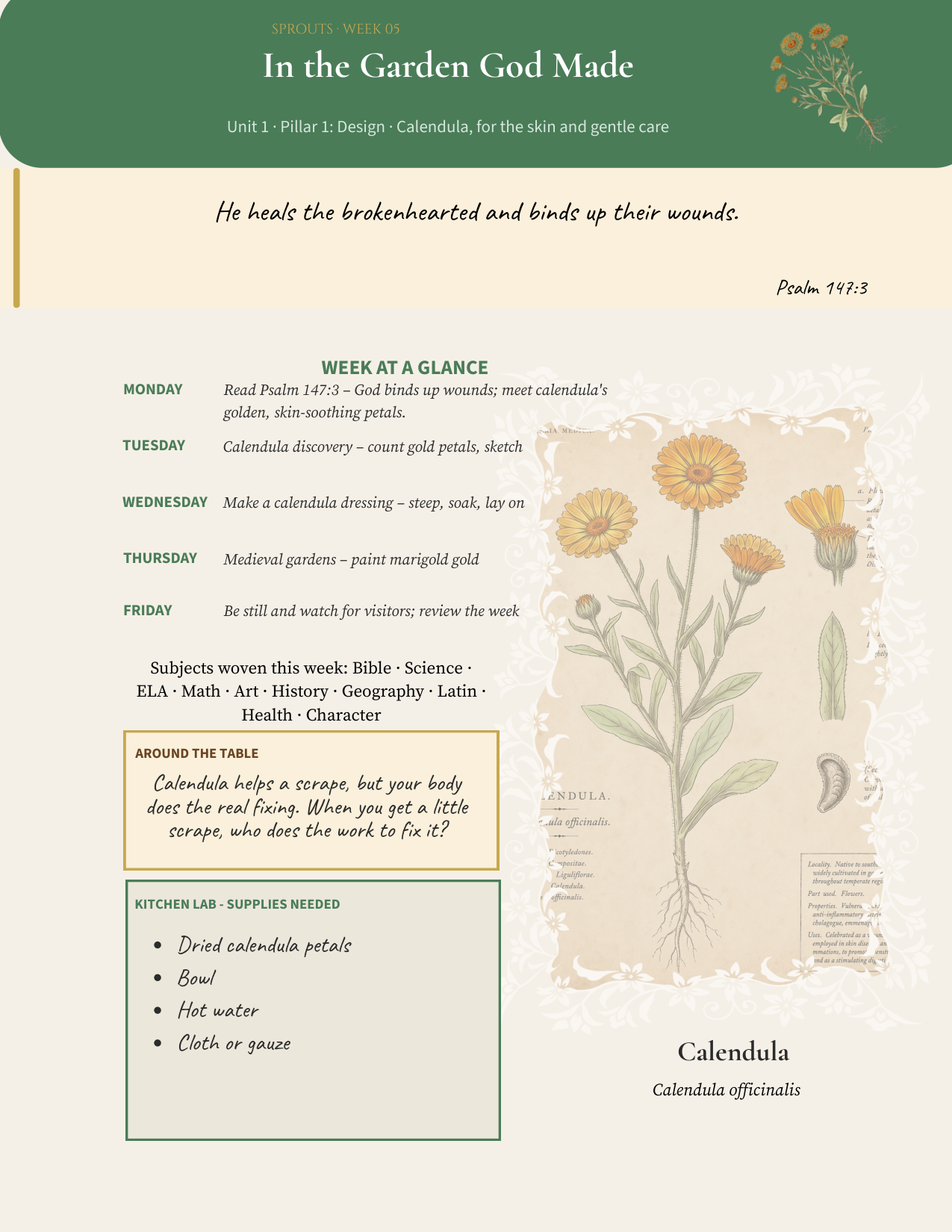 Week 5 of the Sprouts Teacher's Guide, showing the calendula week laid out Monday through Friday with the scripture, the kitchen lab supply list, and the subjects woven through the week.