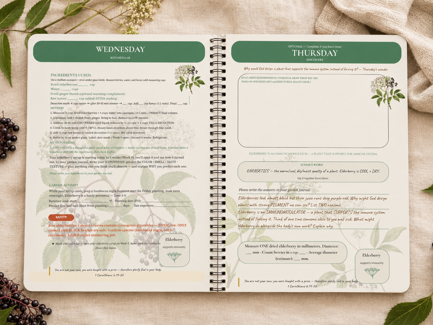 Seedlings Student Notebook open — measurement, hypothesis, safety panels