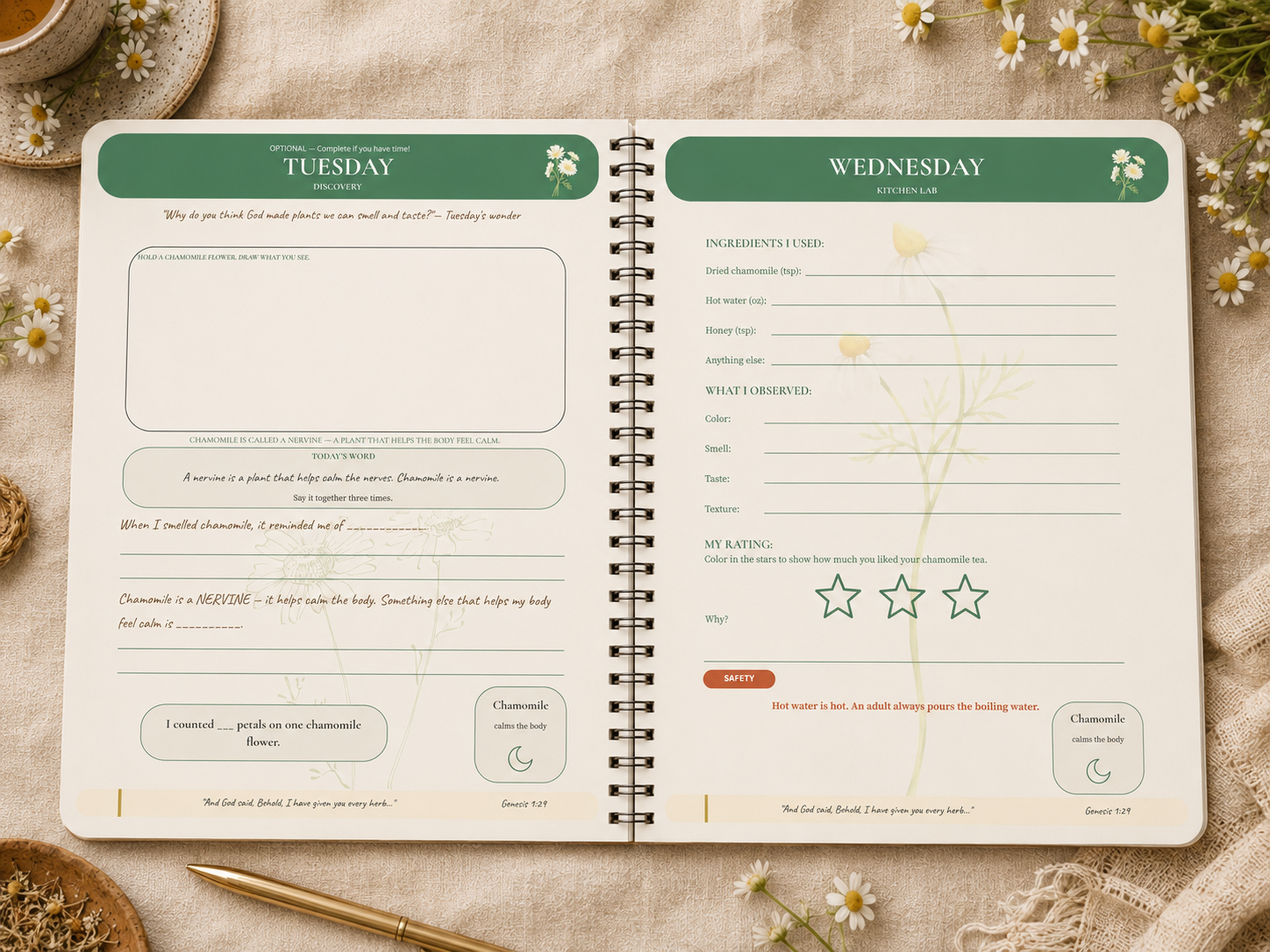 Sprouts Student Notebook open — Tuesday Discovery and Wednesday Kitchen Lab