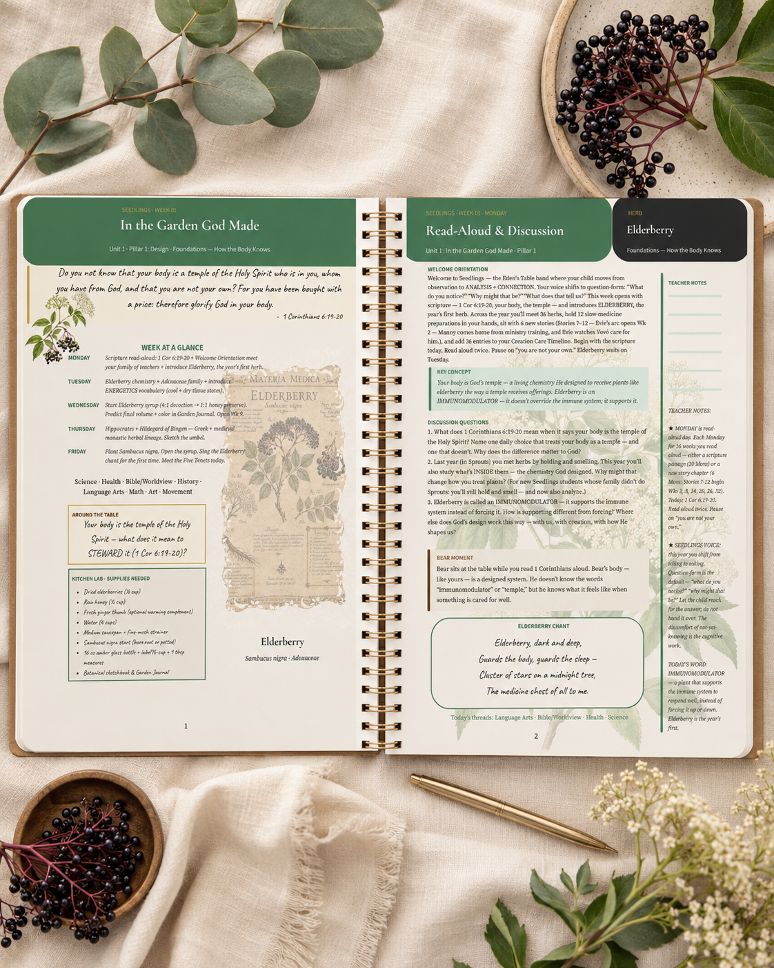 Seedlings Teacher Guide open on cream linen